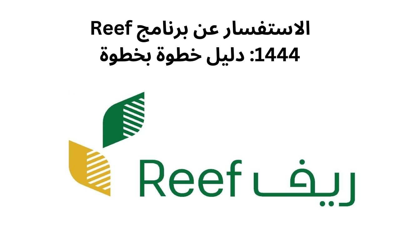 الاستفسار عن برنامج Reef 1444: دليل خطوة بخطوة
